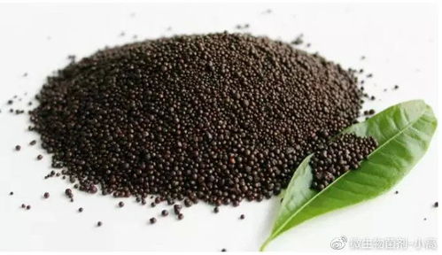 微生物肥料 土壤污染的克星與中國農(nóng)業(yè)的未來