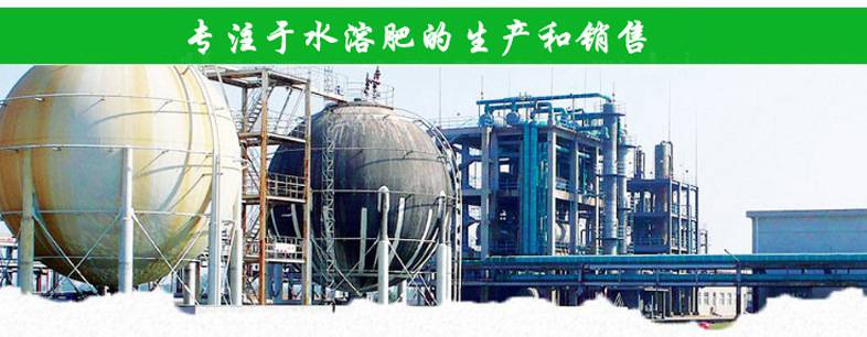 海藻顆粒肥引領(lǐng)綠色農(nóng)業(yè) 黃腐酸鉀與生物有機(jī)肥的創(chuàng)新應(yīng)用與代工制造